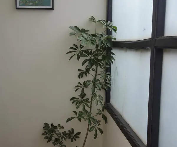 Tushita 2* Kathmandu
